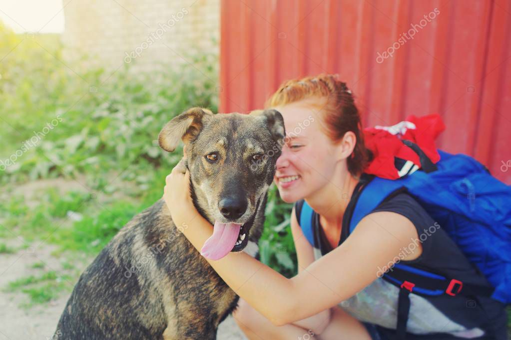 Kurtarılmış ve bakımı yapılan sokak köpeği