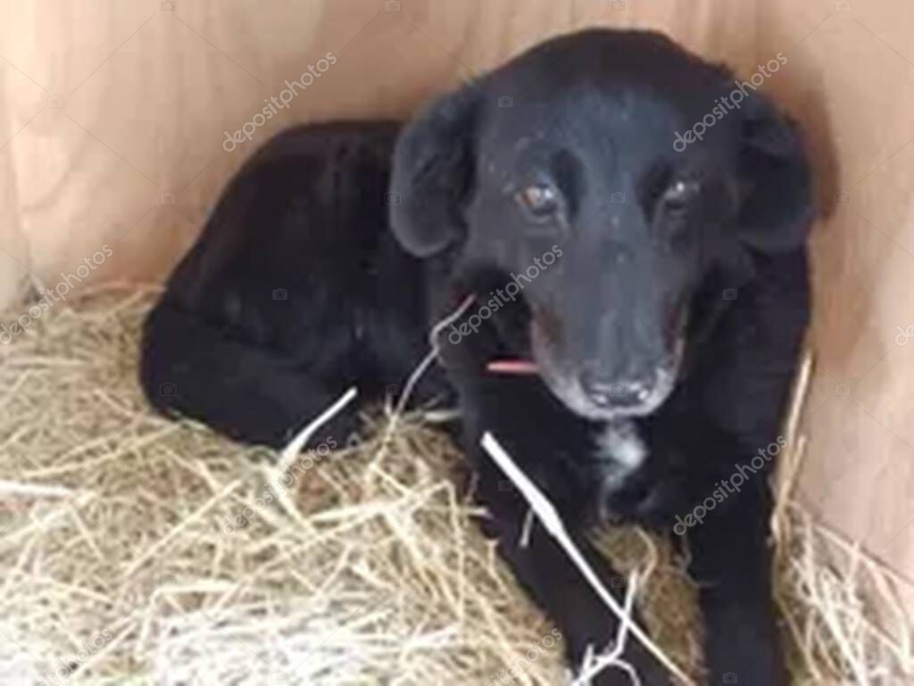 Öncesi ve sonrası karelerinden oluşan tedavi hikâyesi video ön izlemesi