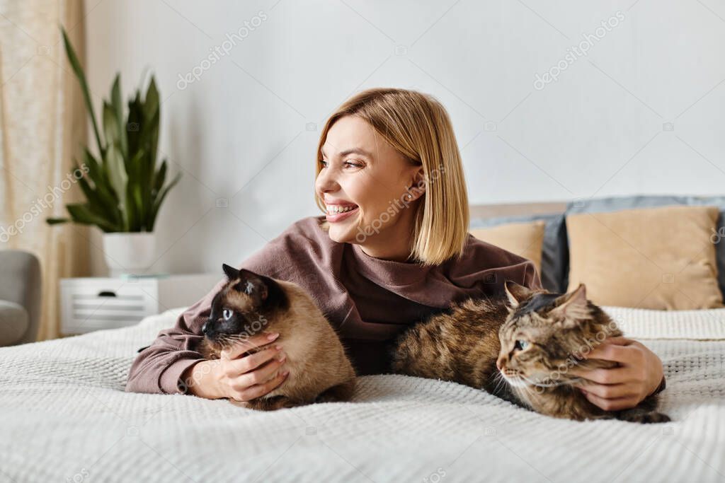 Battaniye üzerinde dinlenen sakin bir kedi