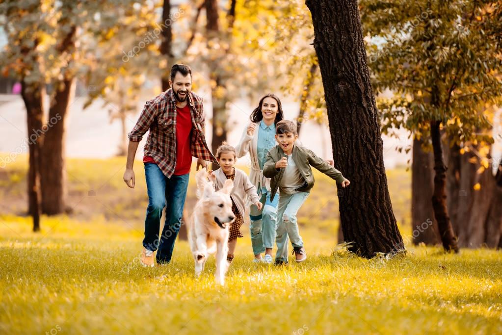 Parkta koşan neşeli köpek