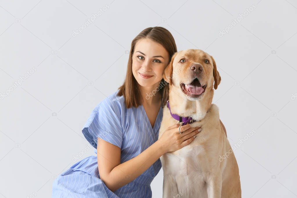 Veteriner kliniğinde sakinleştirilen hayvan