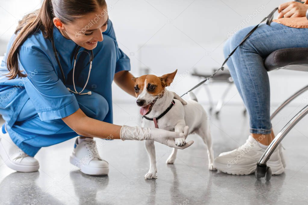 Kontrol muayenesinde veterineriyle göz teması kuran köpek